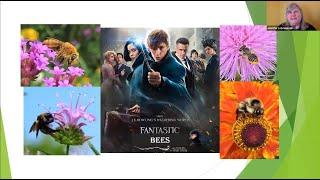 Fantastic Bees - Backyard Naturalist Lecture Series