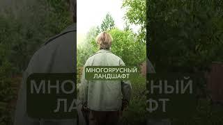 ИДЕИ ДЛЯ ВАШЕГО САДА!