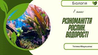 Урок 16. Різноманіття рослин. Водорості. 7 клас. НУШ