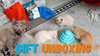 Tannie or kittens kay gifts ki unboxing ki ️ | Zain Gillani Vlogs