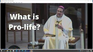 What is Pro-Life? | Mass for Life | Bishop Parkes