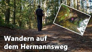 Wanderung mit meinen Kindern auf dem Hermannsweg | #matthiasrammes