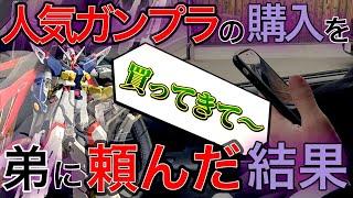 【ガンプラ】人気ガンプラ争奪戦！弟に購入をお願いした結果⁉HG 1/144 デスティニーガンダムSpecII&ゼウスシルエット