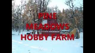 Pine Meadows Hobby Farm - A Modern Small Homestead