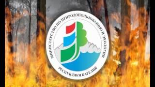 Берегите лес от пожара!