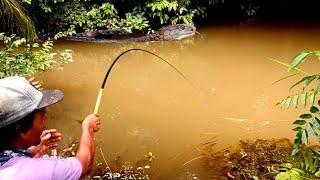 ASTAGHFIRULLAH.RAJA NYA ULAR LEWAT PAS DI DEPAN SAYA MANCING UNTUNG SAYA WASPADA