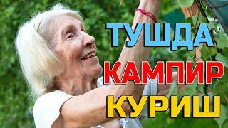 Туш табири - Тушда Кампир кекса аёл куриш