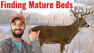 How I Find Buck Beds on Public Land