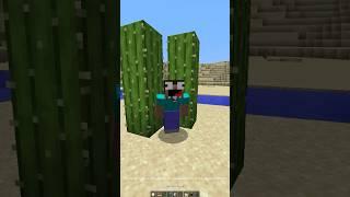 POV: playing on the laggiest server ever (awful, crazy) #minecraft #meme #memes