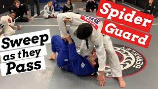 Spider Guard Sweep, Simple & Effective