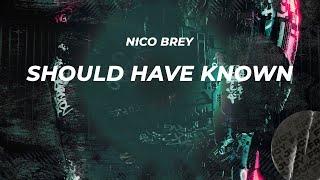 Nico Brey - Should Have Known (Lyric Video)