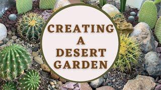 Creating a Desert Garden (Part1) | Cactus Garden | Desert Landscape