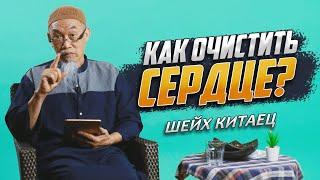 КАК ОЧИСТИТЬ СЕРДЦЕ? - Шейх Хуссейн Йии