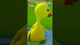 Itik itik ya Mama Lagu #shorts #nurseryrhymes #cartoon #ducklingducklingyesmama #music