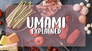 UMAMI Explain (What the TASTE of UMAMI?)