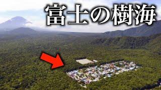 【衝撃】富士の樹海のど真ん中にポツンとある集落に行ってきた。住民は…？