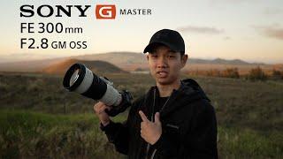 The PERFECT Wildlife Photography Setup? Sony 300mm GM Review + Teleconverters