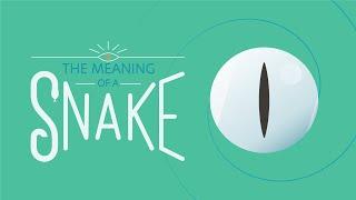 The Meaning of a Snake Sighting - Spiritual Messenger