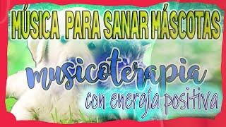 MUSICA PARA SANAR A LOS ANIMALES CON AMOR  - MÚSICOTERAPIA con energía positiva para mascotas +1h