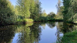 Рыбалка на экраны￼ рыбалка на телевизоры