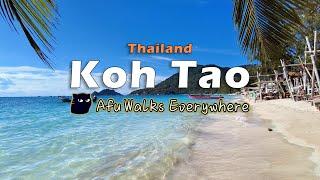 Discovering the Colorful Beauty of Koh Tao - A Fantastic Trip(4K UHD)