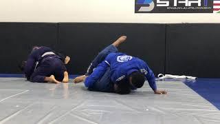 Brazilian Jiu Jitsu Training