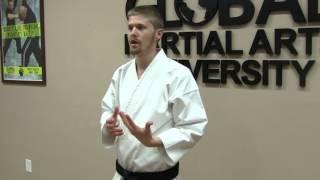 Learn and Earn Rank in Shotokan Karate at Home