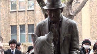 Unveiling of statue depicting Hachi and his owner