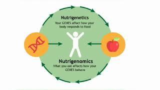 Feed your Genes Right
