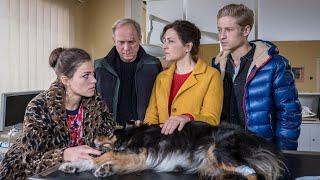 Und wer nimmt den Hund I Deutscher Film 2019 I Martina Gedeck, Ulrich Tukur, Lucie Heinze