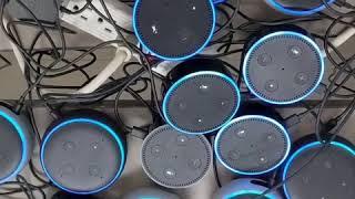 Alexa farts on multiple echos