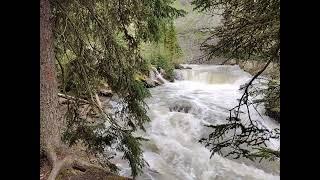 South Fork Near Ousel Falls June 20, 2022