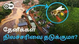 How Honeybees Can Prevent Landslides? Wayanad போல Ugandaவை உலுக்கிய பேரிடர் - மீண்டது எப்படி?