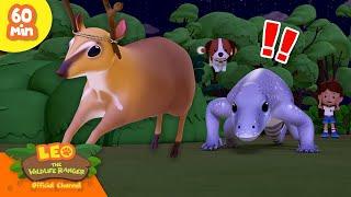  Animals Escaping the Hunt!  Deers, Birds & More! | Leo the Wildlife Ranger | Kids Cartoons