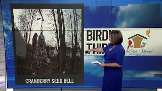 Birdie Thirty: Eyewitness News at 6:30am on 11-23-2024