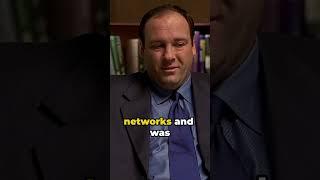 The Sopranos: Surprising Changes from Pilot to Series #short #shorts