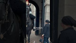 WOMAN KICKS RUBBISH IN BOX ️ | Horse Guards, Royal guard, Kings Guard, Horse, London, 2024