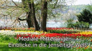 Mediale Mitteilungen - Einblicke in die jenseitige Welt (engl. subtitles)