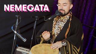 Nemegata - Llorando  |  ACL Music Fest  |  JoyRx Music