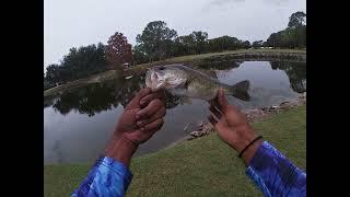 Christmas Day Fishing