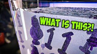 3D Printing in HAIR GEL?! My Top 5 from Rapid + TCT 2025