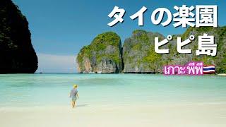 【ピピ島】一生に一度は絶対行きたいタイの楽園!!最高すぎてマジで帰りたくなくなった!!｜タイ旅行｜プーケット｜ピピ島｜人気移住先｜海外移住｜4K