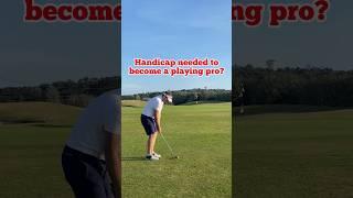 What handicap would a playing pro be? | Golf