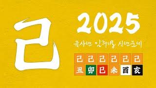 [2025 을사년 신년운세] 기토일간이 성공적 결과를 위해 가야할 방향은~?