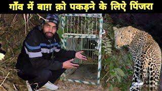 गाँव में Leopard क़ो पकड़ने की तैयारी | Bhotia Dog Vs Leopard |