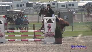 590S Maddie Hale on Firebolt JR Novice Show Jumping Rebecca Farm July 2018