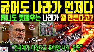 [해외감동사연] 하버드대 교수가 분석한 한국의 초고도 성장 비결. 끼니는 굶어도 나라는 키운다. 전세계 미쳤다고 했지만 결국 해낸 대한민국
