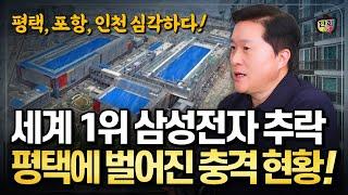 세계 1위 삼성전자의 추락! 평택에서 벌어진 충격적인 일 (단희쌤)