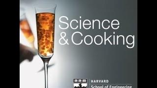 Bakistry: The Science of Sweets | Lecture 9 (2012)