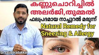 Natural Remedy for Sneezing and Allergic Issues, തുമ്മൽ,കണ്ണു ചൊറിച്ചിൽ,അലർജി മാറാൻ നാച്ചുറൽ മരുന്ന്